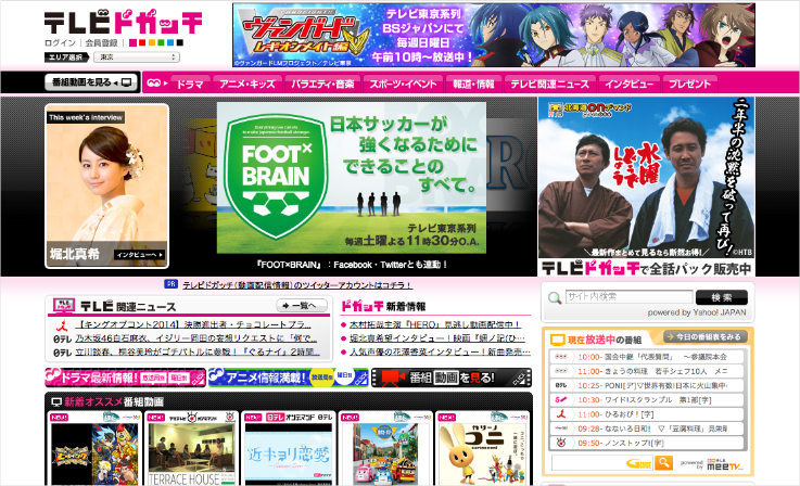 テレビドガッチ