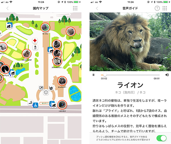 one zoo イメージ