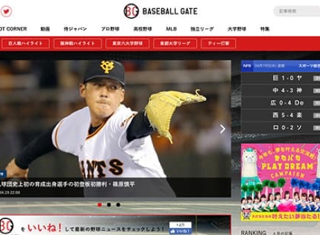 BASEBALL GATE